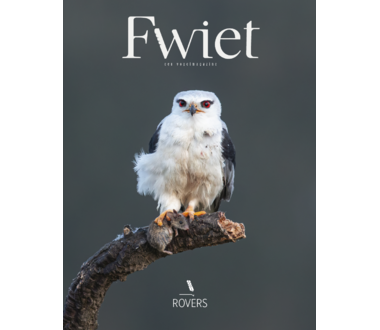 fwiet_11_-_rovers[1].png
